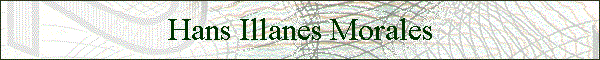 Hans Illanes Morales